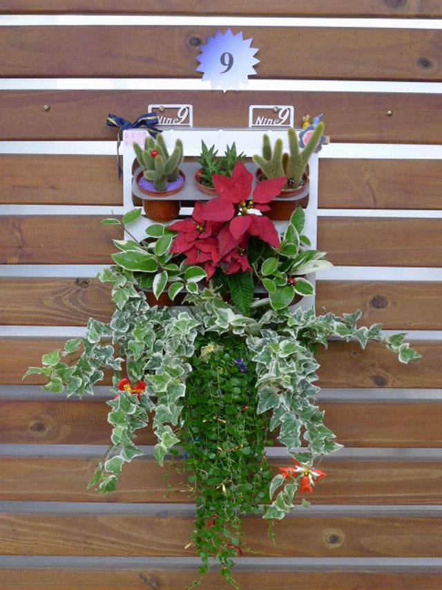 Nine9 花泊爭艷競賽